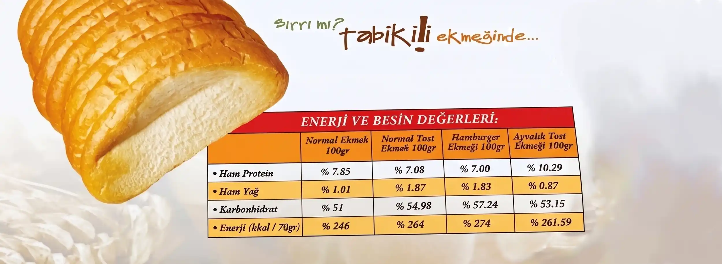 AYVALIK TOSTU KAÇ KALORİ - Tost Haberleri